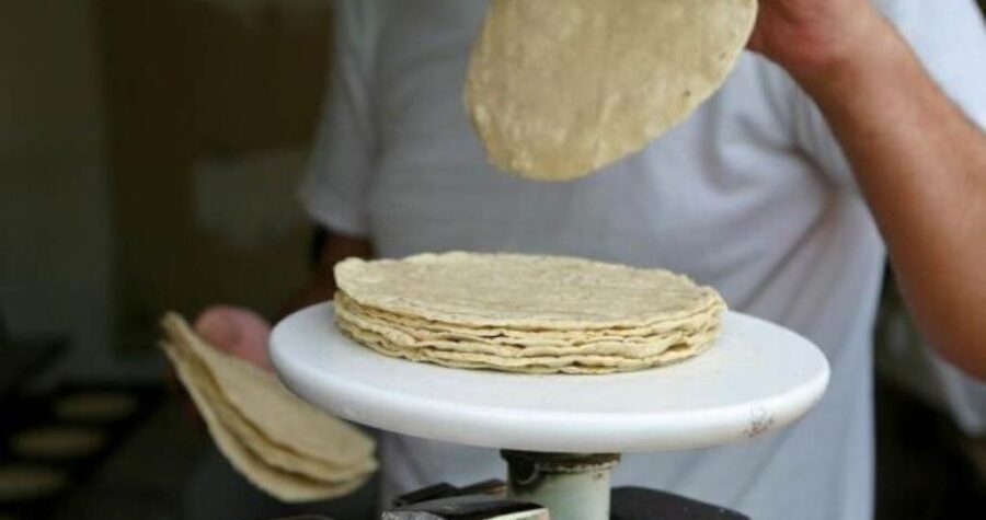Sube precio de la tortilla hasta en 20 pesos el kilo, señala Profeco