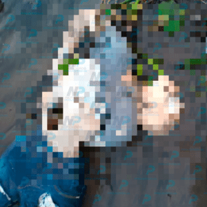 Encuentran cuerpo de mujer maniatada flotando en la laguna de Alvarado