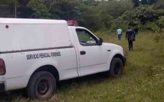 Encuentran cinco cuerpos en Juchique de Ferrer; fueron degollados