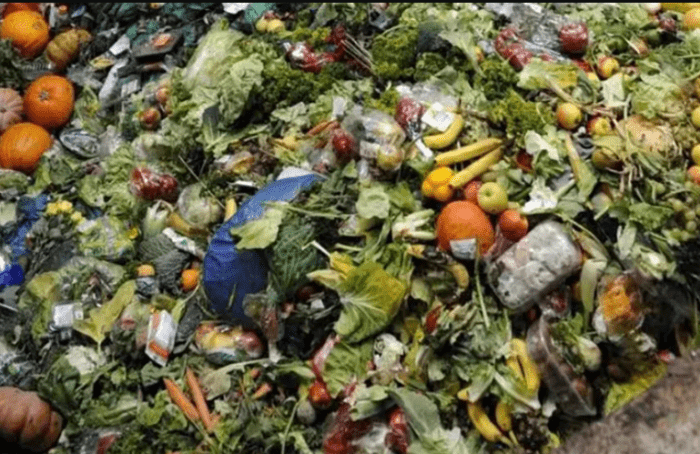 ONU: Más de mil 50 millones de toneladas de alimentos fueron desperdiciadas en 2022
