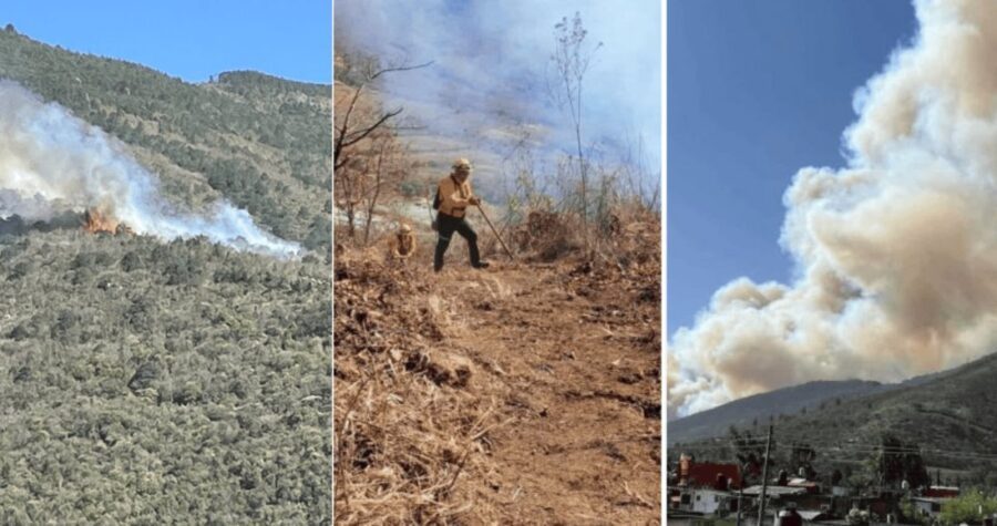 Cinco incendios forestales cierran carreteras y amenazan comunidades de la zona centro de Veracruz