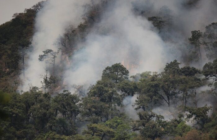 Río Blanco solicita apoyo aéreo para combatir incendio forestal