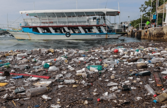 Contaminación afecta 18 playas en México: Cofepris alerta que no son aptas para uso recreativo